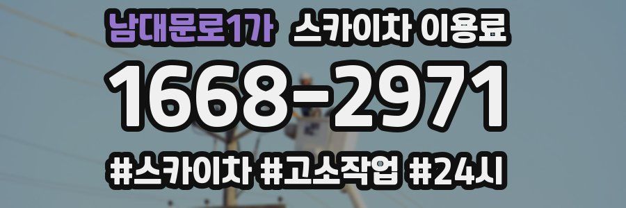 남대문로1가 스카이차 이용료