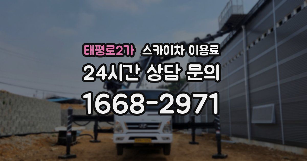 태평로2가 스카이차 이용료