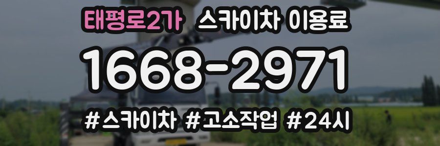태평로2가 스카이차 이용료