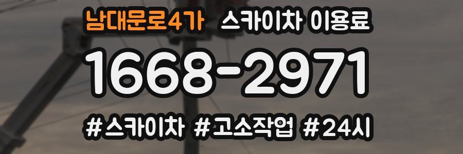 남대문로4가 스카이차 이용료