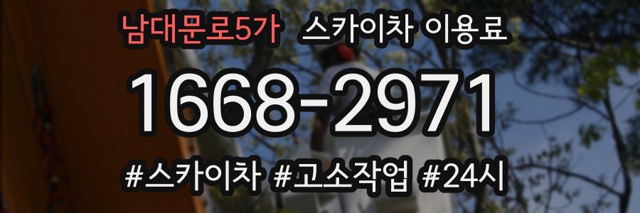 남대문로5가 스카이차 이용료