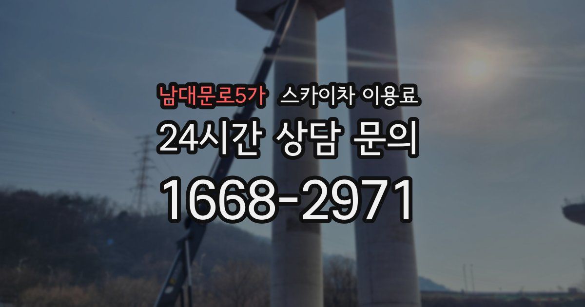 남대문로5가 스카이차 이용료