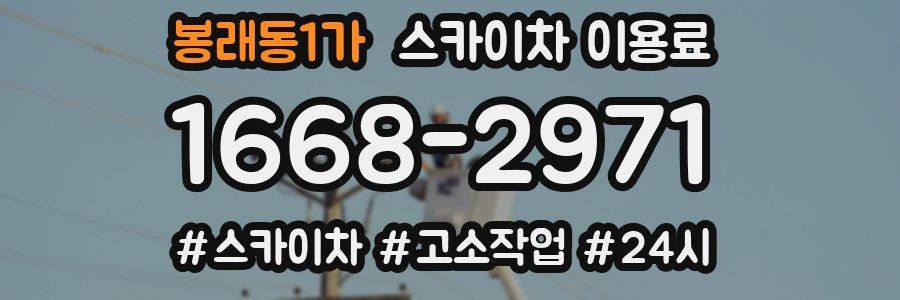 봉래동1가 스카이차 이용료