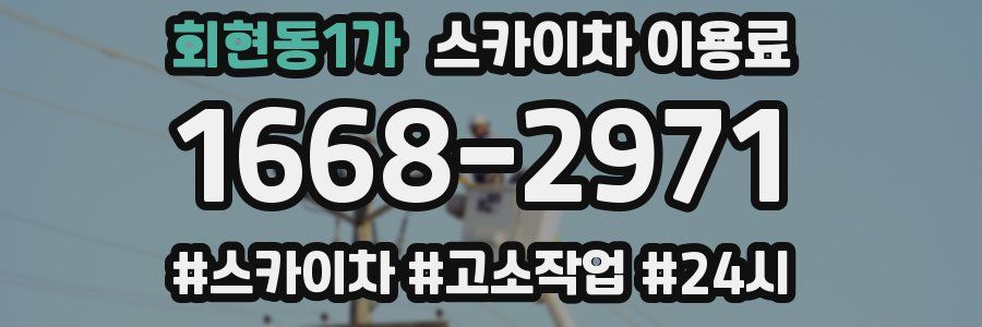 회현동1가 스카이차 이용료