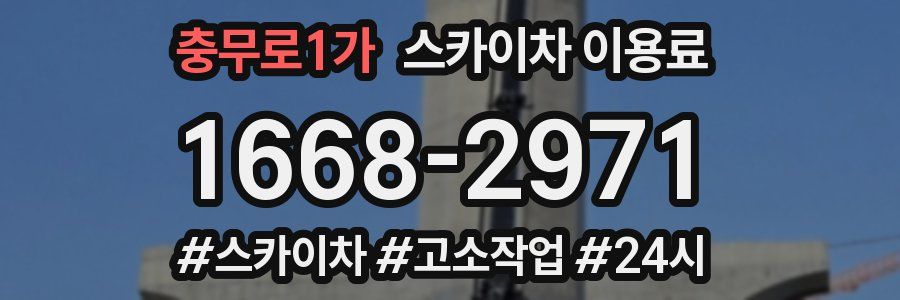충무로1가 스카이차 이용료