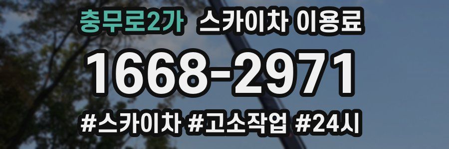 충무로2가 스카이차 이용료