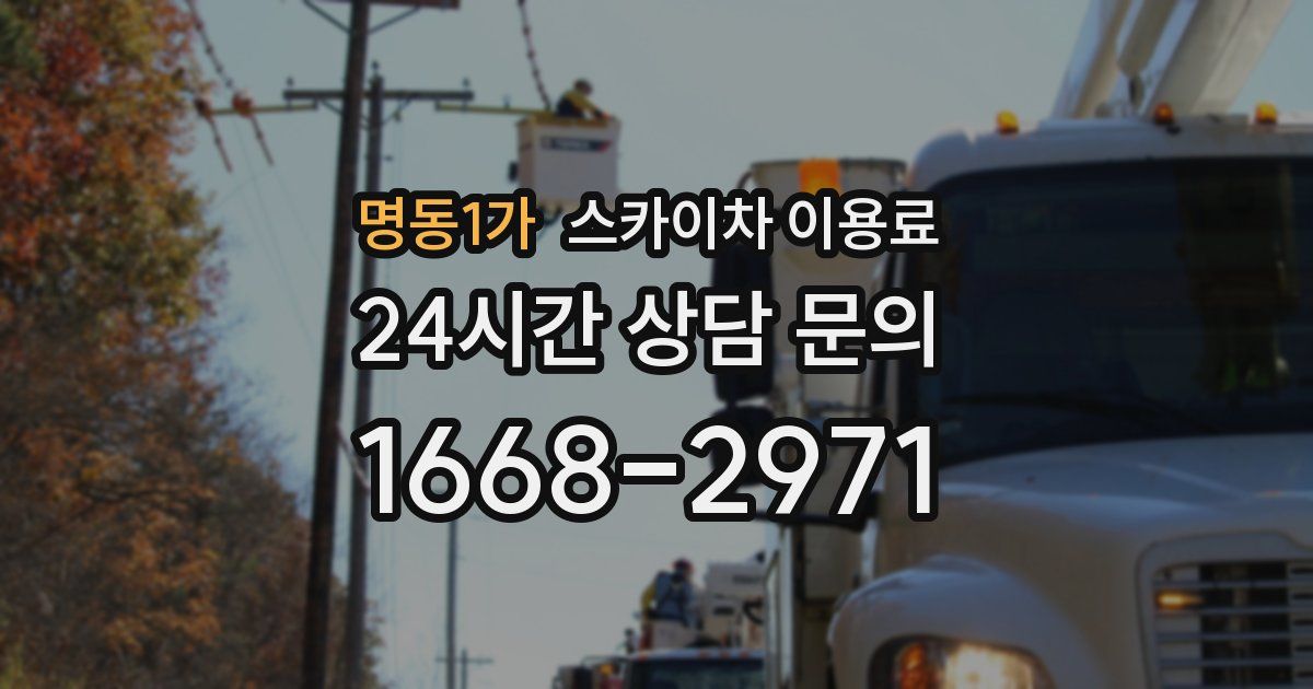 명동1가 스카이차 이용료