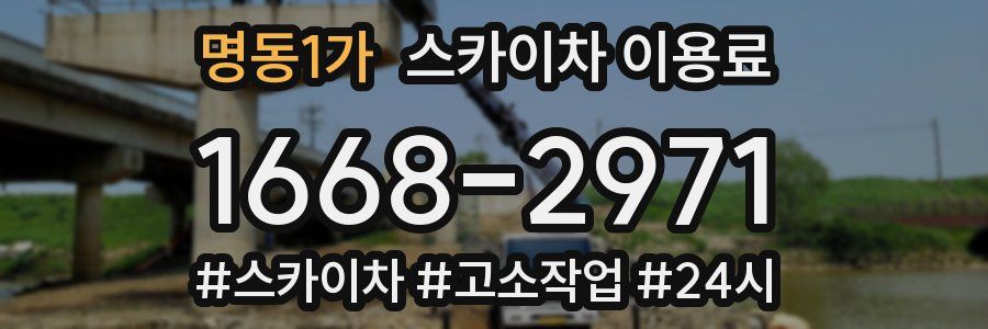 명동1가 스카이차 이용료
