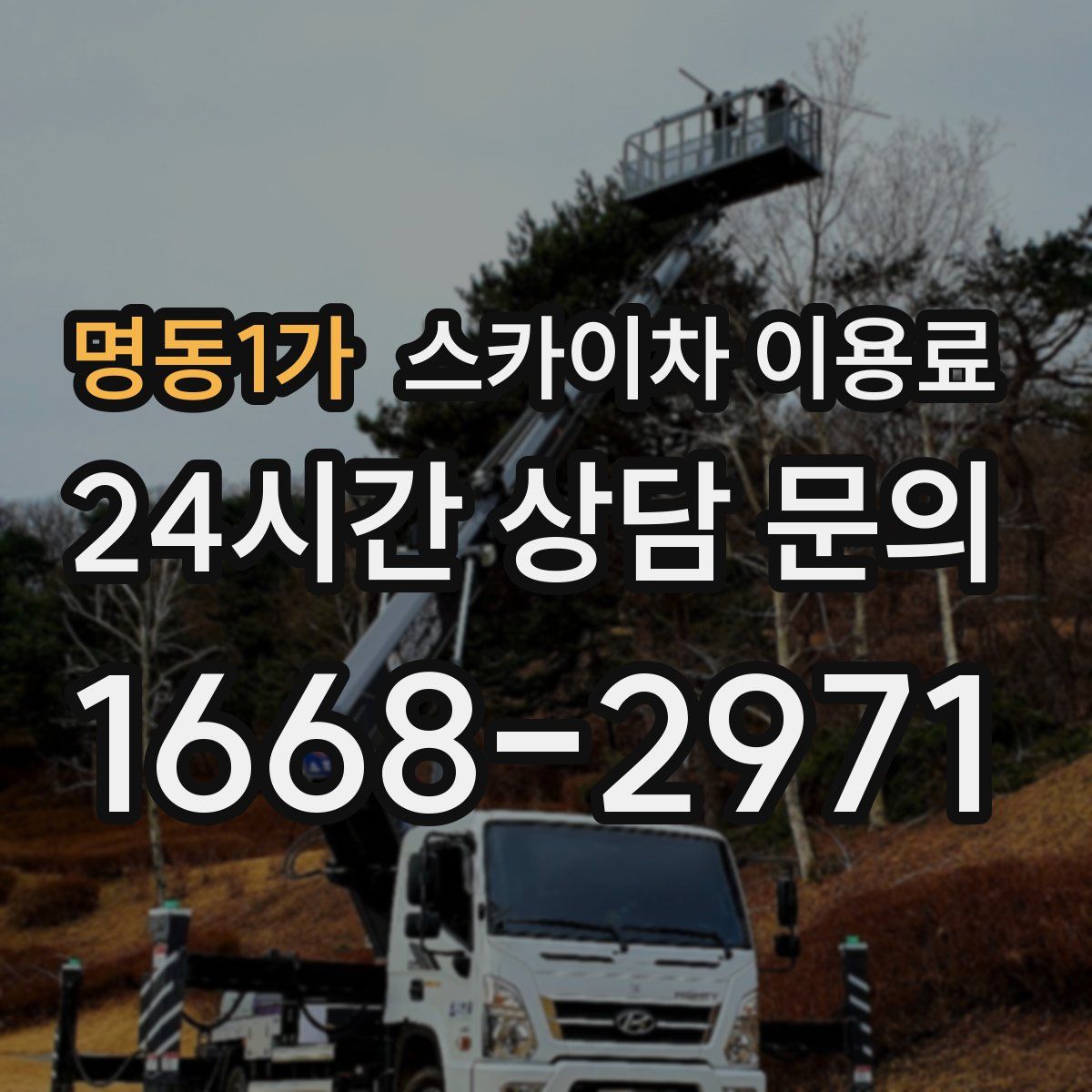 명동1가 스카이차 이용료