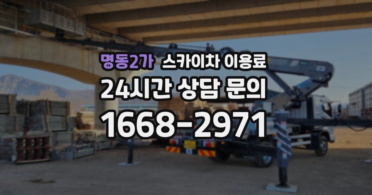 명동2가 스카이차 이용료