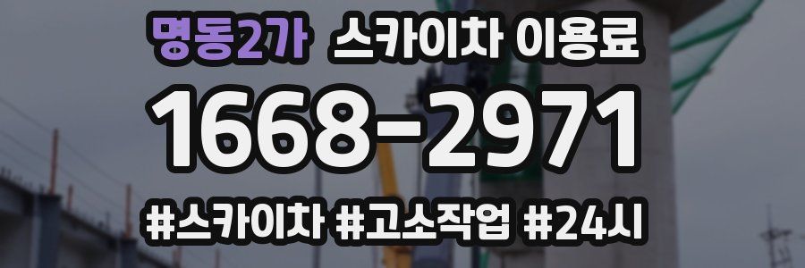 명동2가 스카이차 이용료