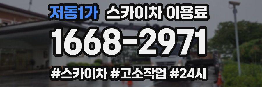 저동1가 스카이차 이용료