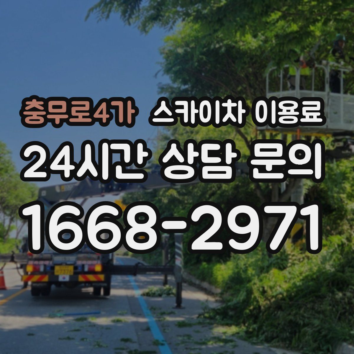 충무로4가 스카이차 이용료