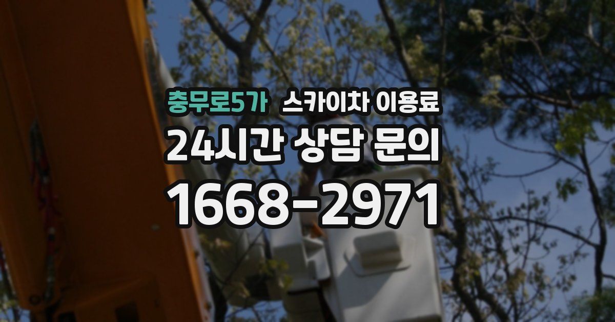 충무로5가 스카이차 이용료