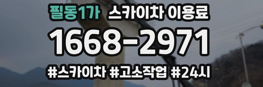 필동1가 스카이차 이용료