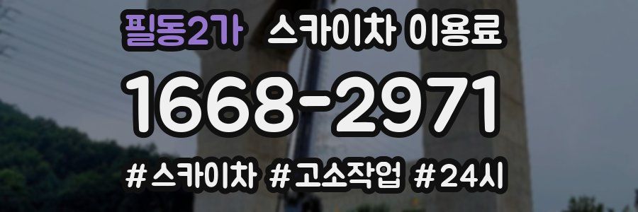 필동2가 스카이차 이용료