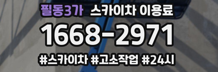 필동3가 스카이차 이용료