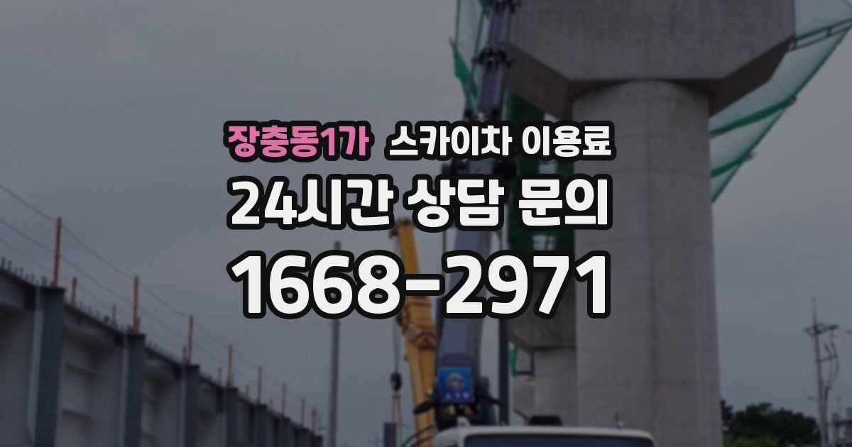 장충동1가 스카이차 이용료