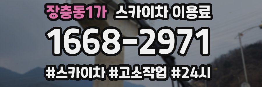 장충동1가 스카이차 이용료