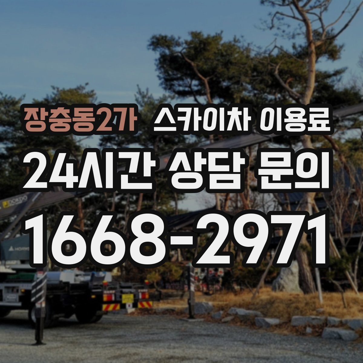장충동2가 스카이차 이용료