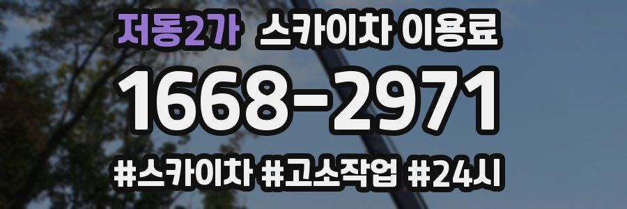 저동2가 스카이차 이용료