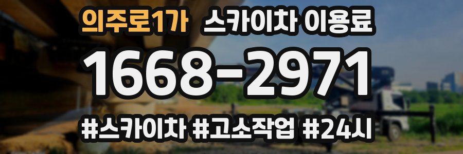 의주로1가 스카이차 이용료