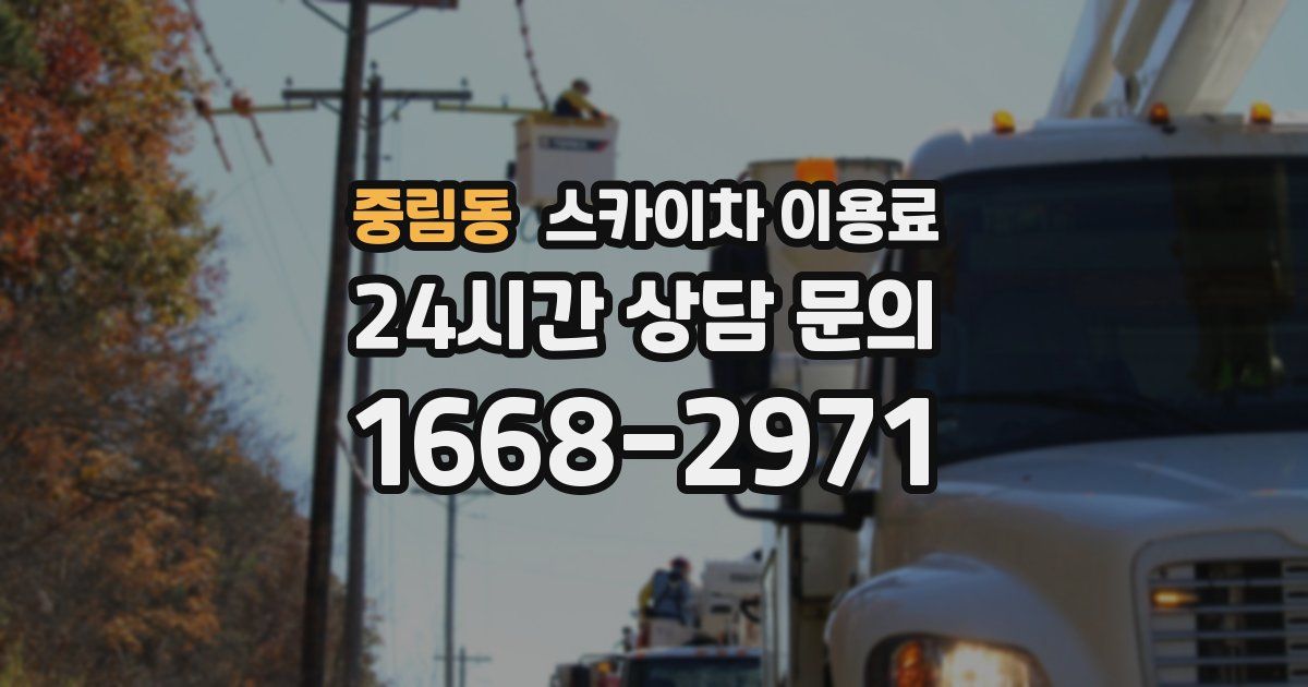 중림동 스카이차 이용료