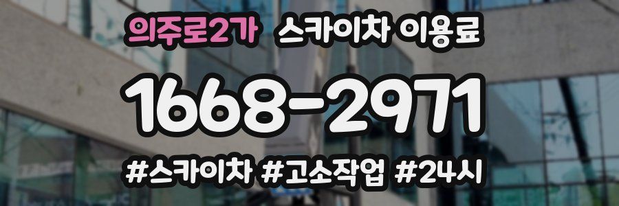 의주로2가 스카이차 이용료