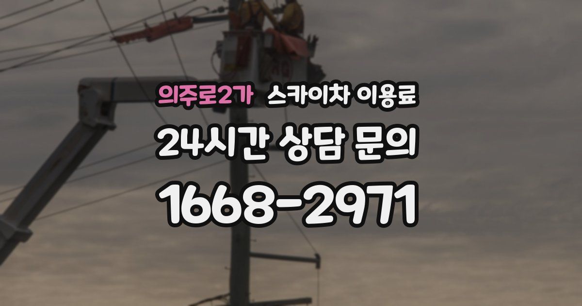 의주로2가 스카이차 이용료