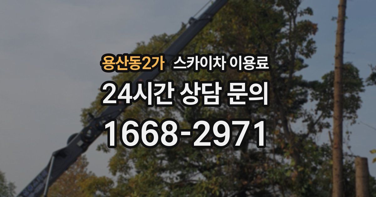 용산동2가 스카이차 이용료