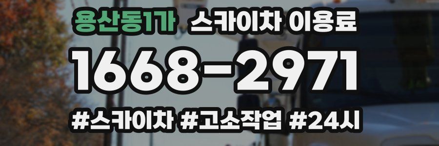 용산동1가 스카이차 이용료
