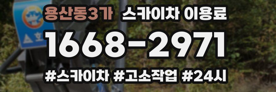 용산동3가 스카이차 이용료