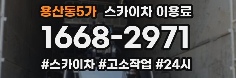 용산동5가 스카이차 이용료