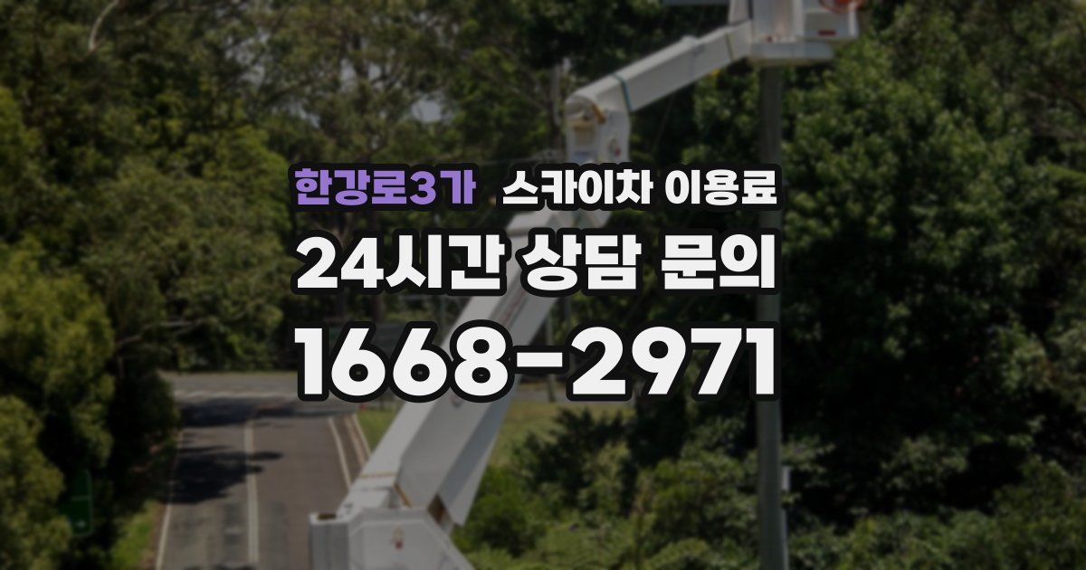 한강로3가 스카이차 이용료