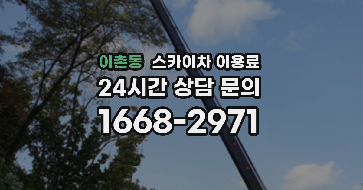 이촌동 스카이차 이용료