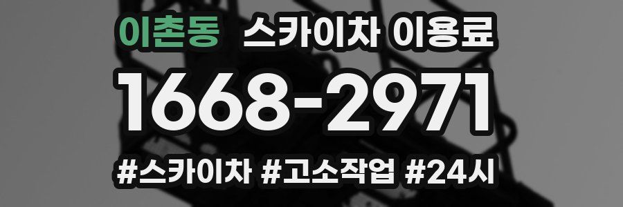 이촌동 스카이차 이용료