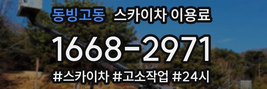 동빙고동 스카이차 이용료
