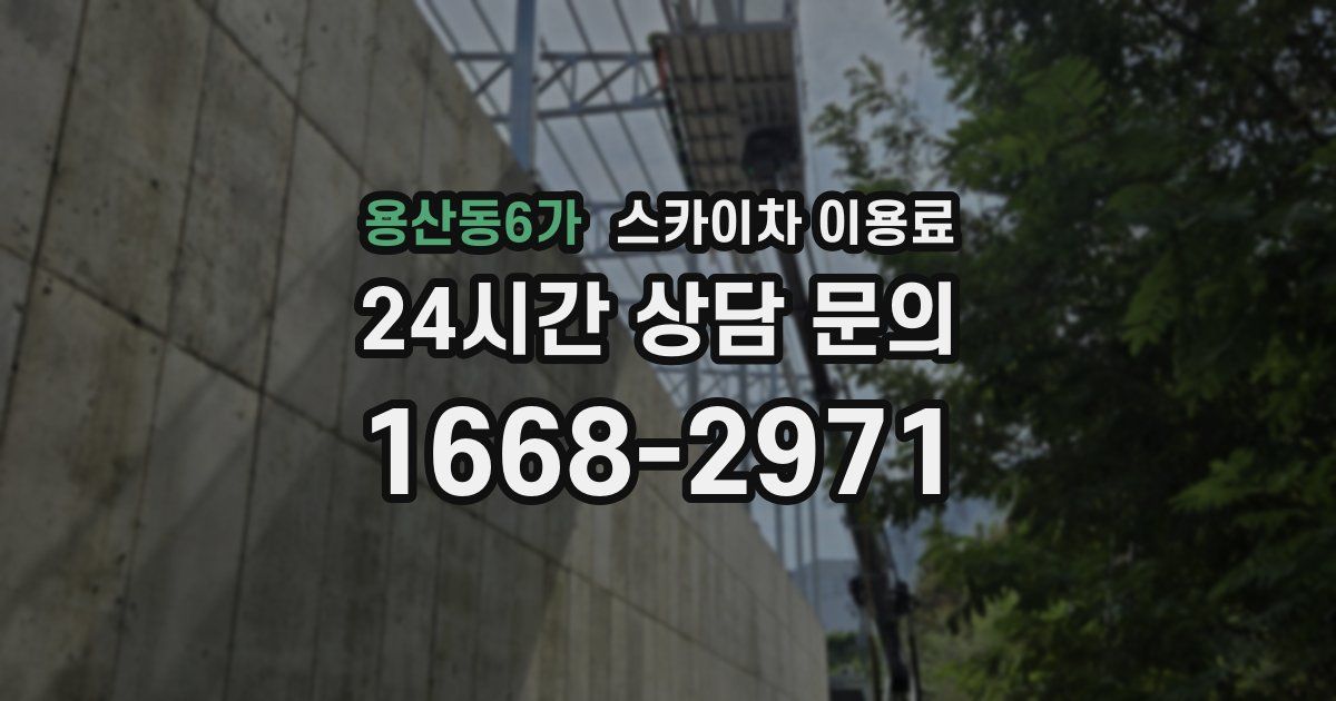 용산동6가 스카이차 이용료