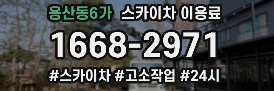 용산동6가 스카이차 이용료