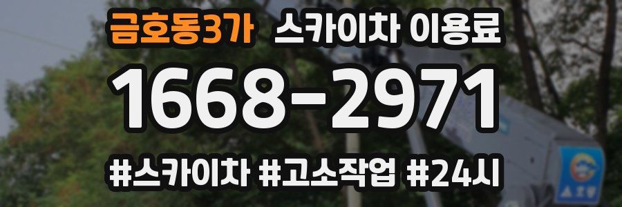 금호동3가 스카이차 이용료