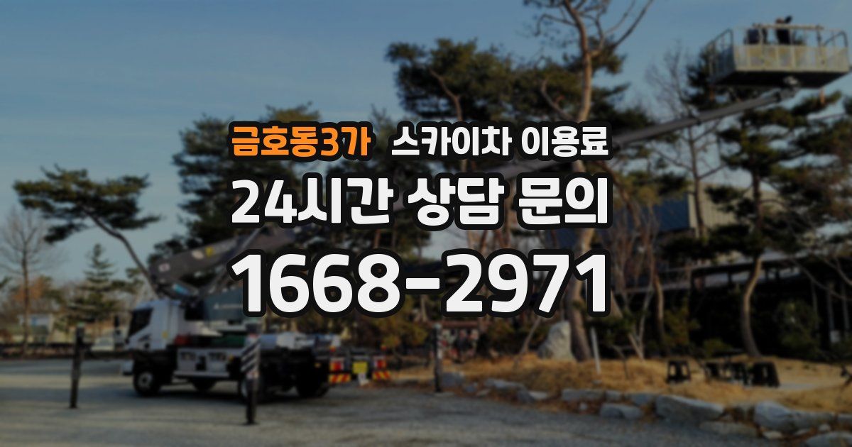 금호동3가 스카이차 이용료