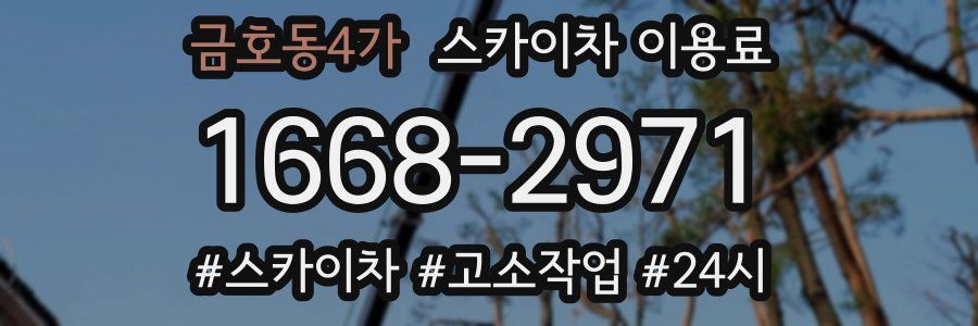 금호동4가 스카이차 이용료