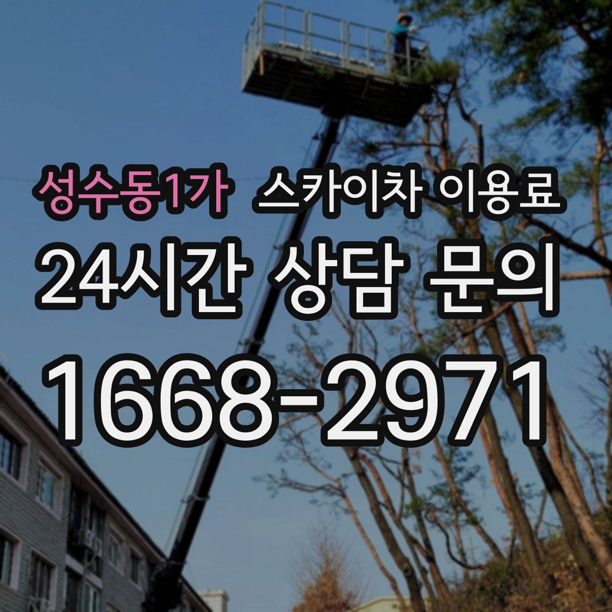 성수동1가 스카이차 이용료
