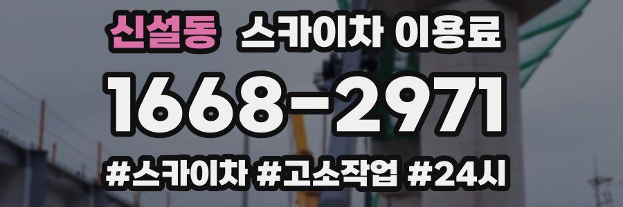 신설동 스카이차 이용료