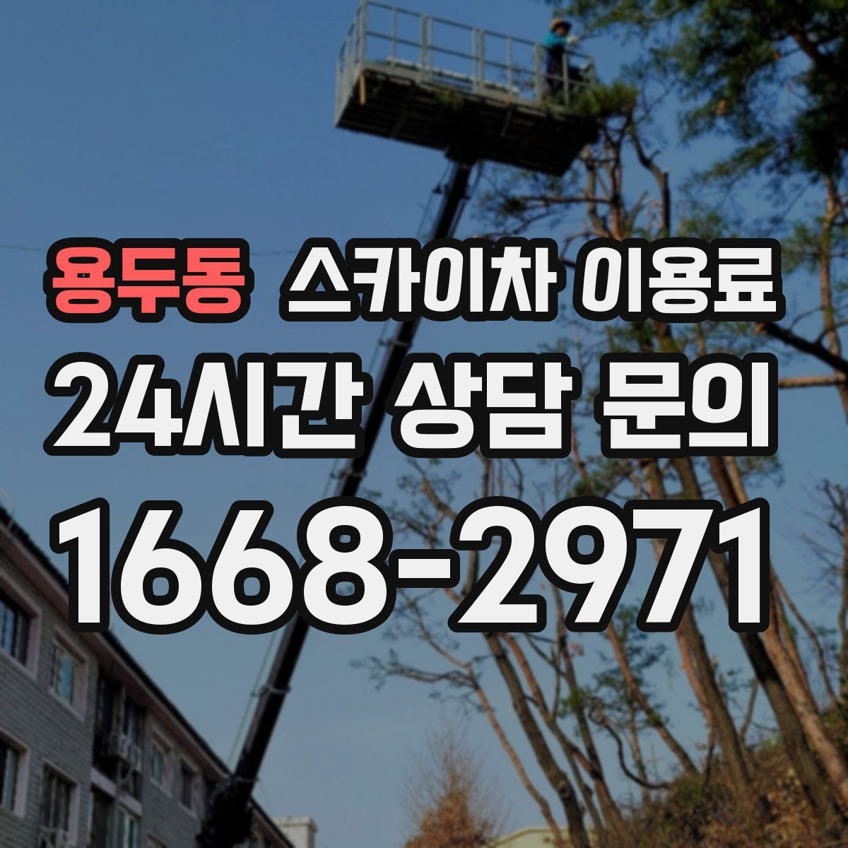 용두동 스카이차 이용료