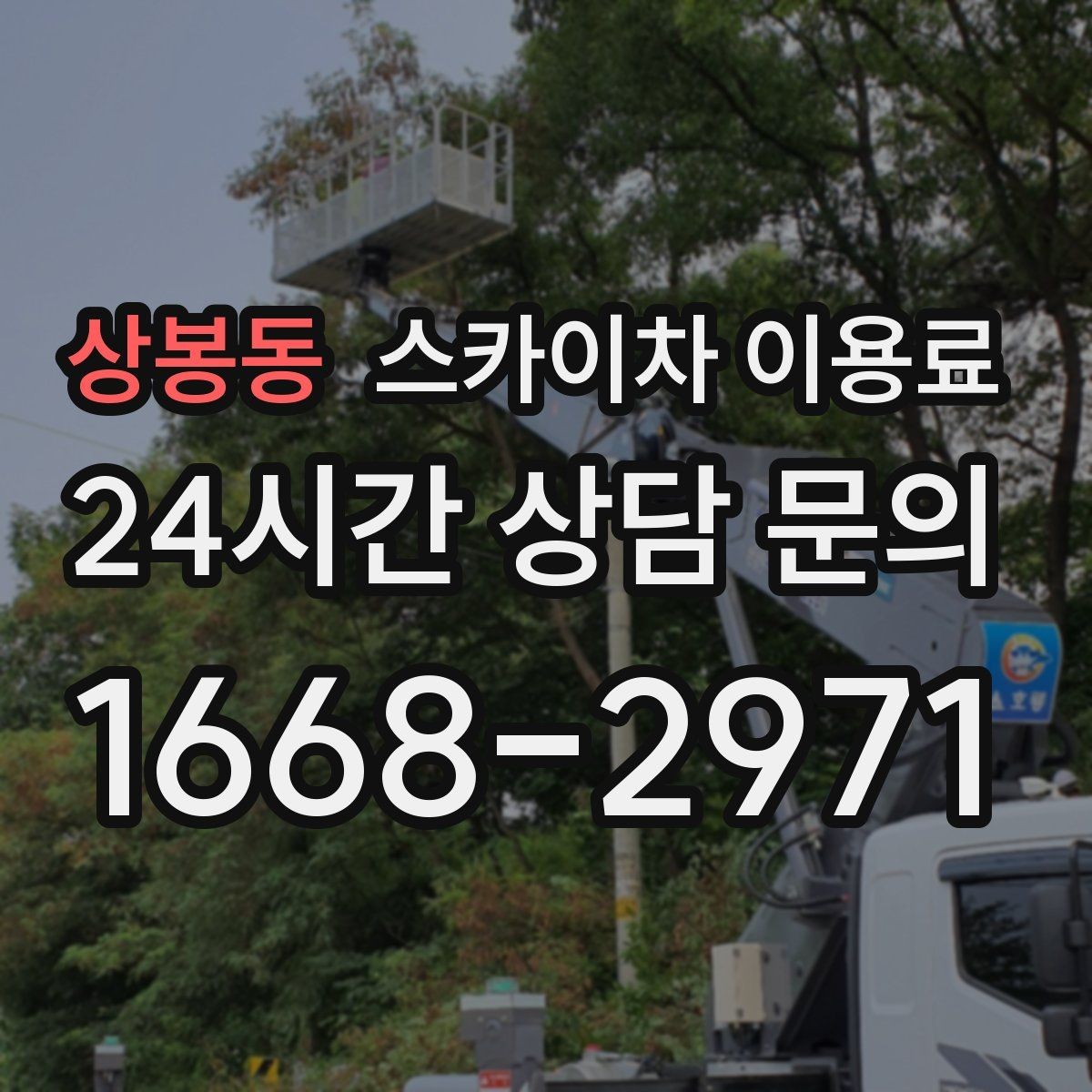 상봉동 스카이차 이용료 문의 전 확인할 점들