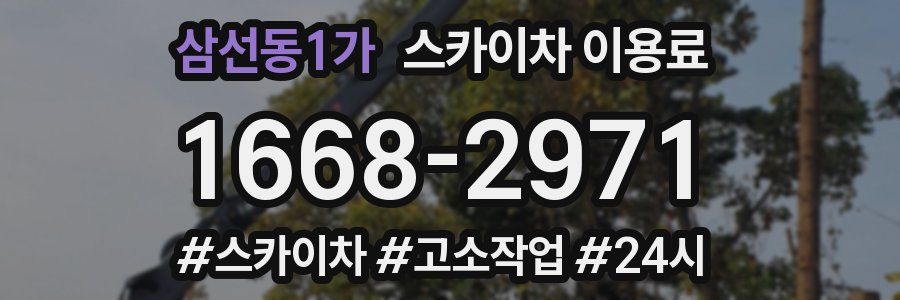 삼선동1가 스카이차 이용료
