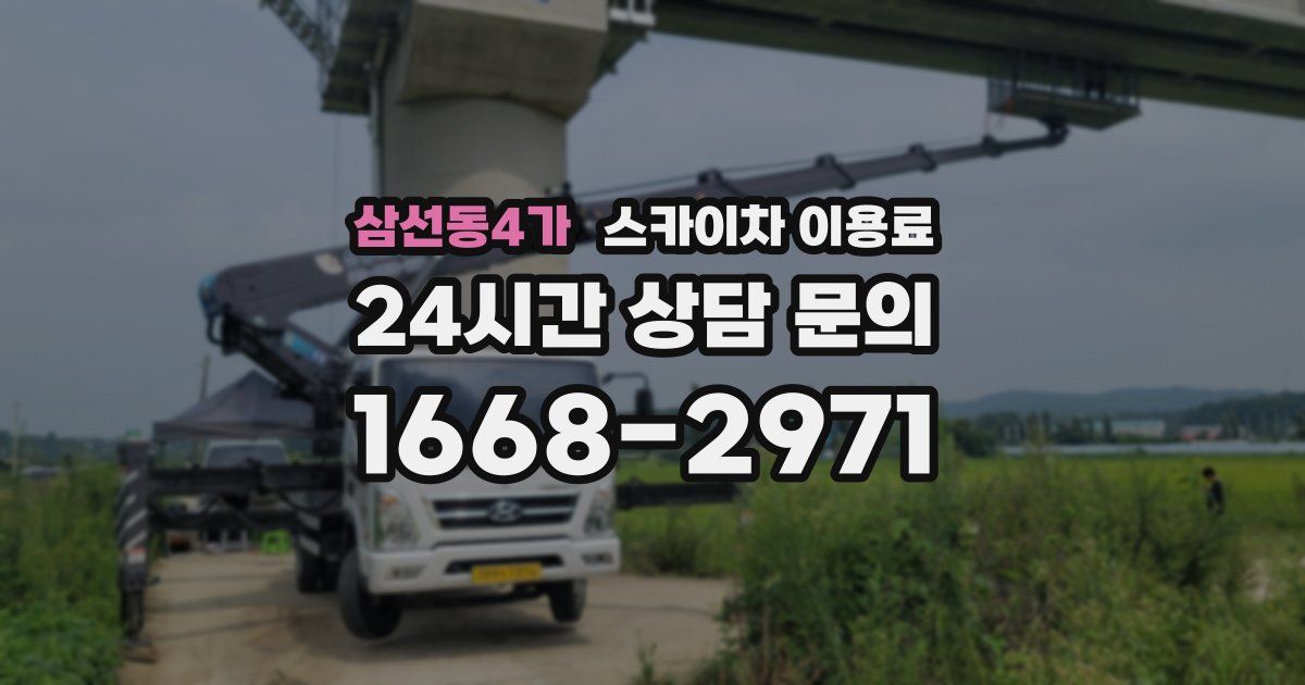 삼선동4가 스카이차 이용료