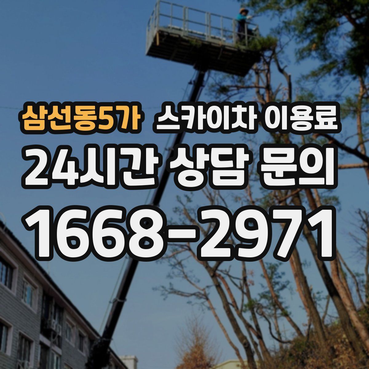 삼선동5가 스카이차 이용료