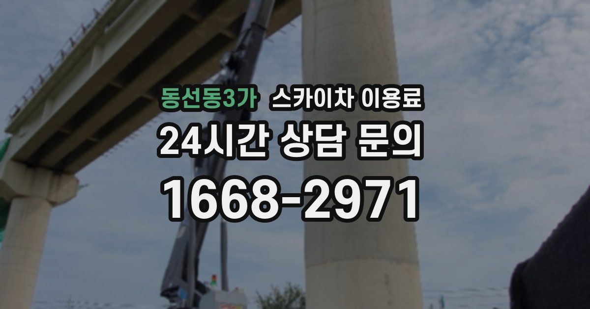 동선동3가 스카이차 이용료